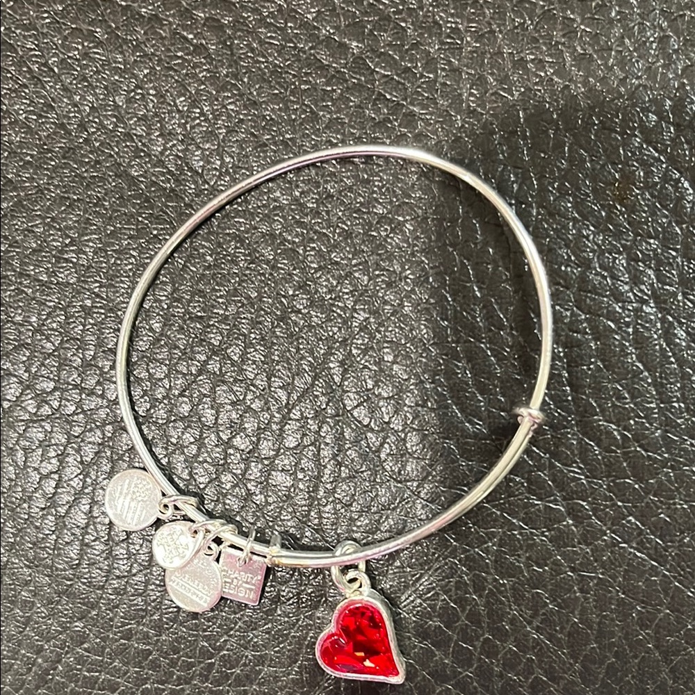 Alex and ani red heart jewel charm bracelet